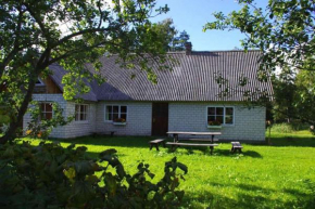 Гостиница Sepa Jõe Holiday Home  Риксу